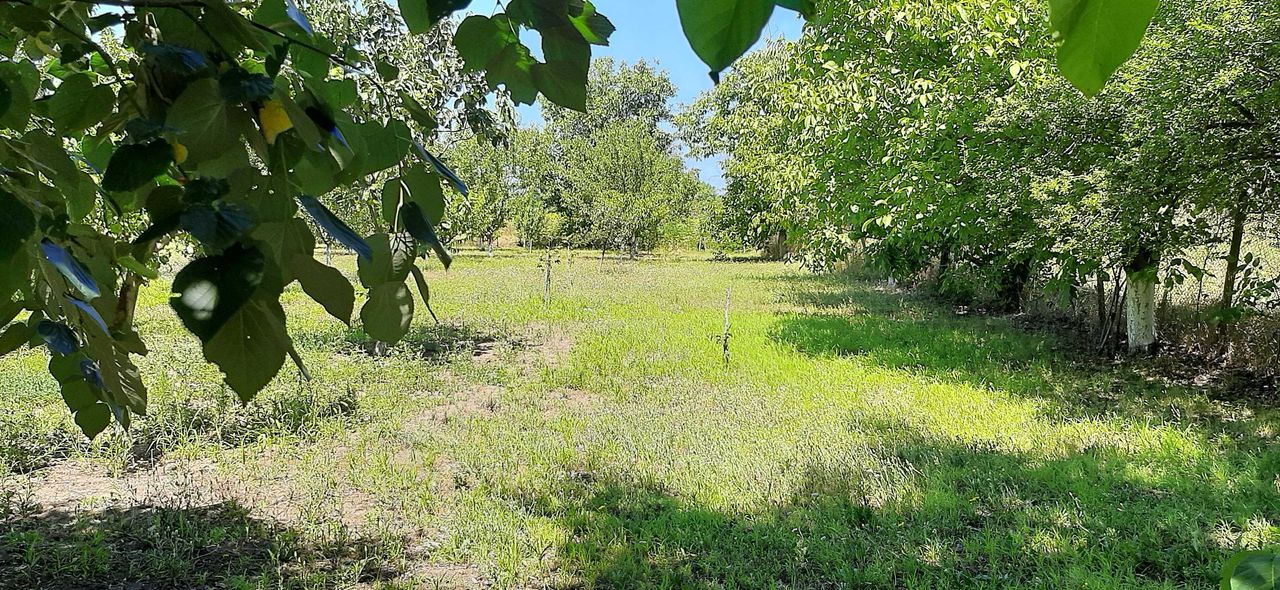 Продава се Къща в с. Съединение, Област Търговище - 42 кв.м за 304 €/кв.м - Снимка #5