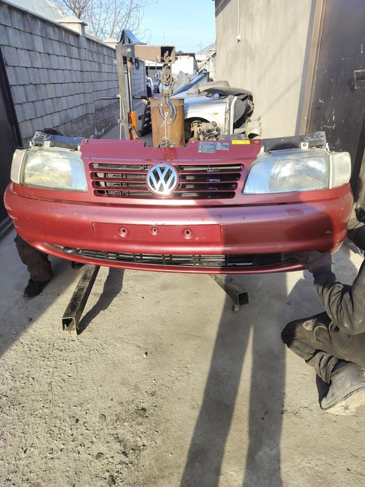 Мини морда наускат