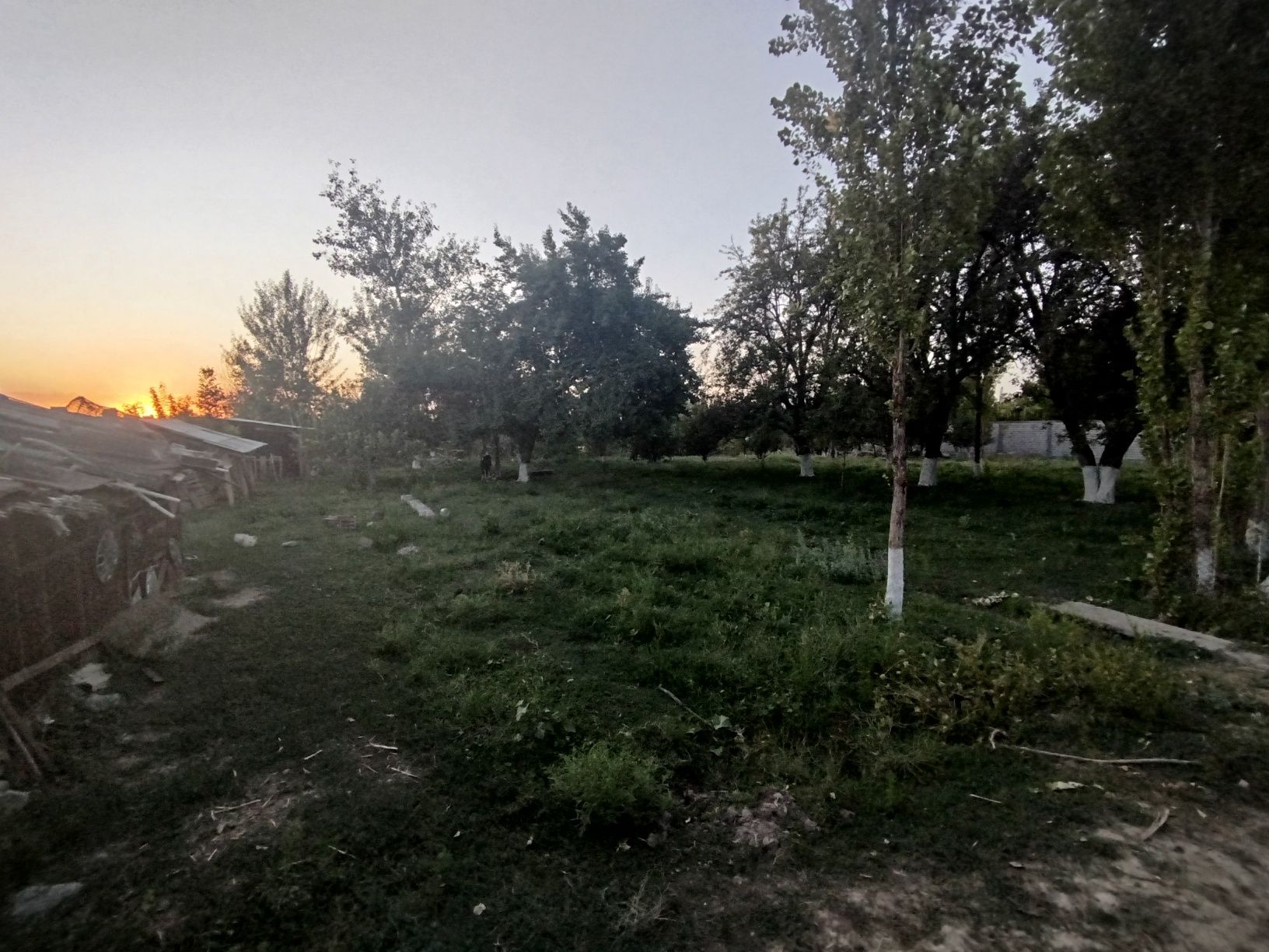 Uy sotiladi Dacha qilish uchun yaqwi joi.
