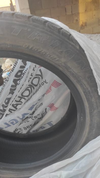 Продам шины зимние triangle