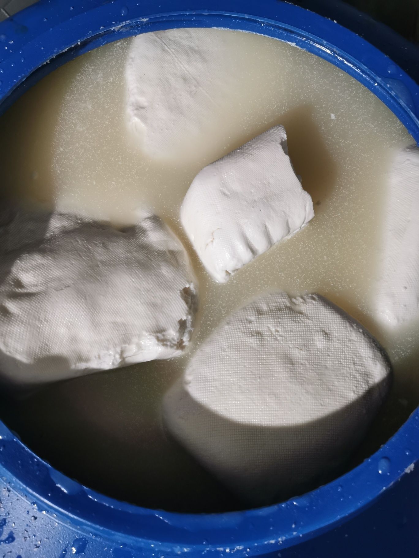 Branza de capră 100 %