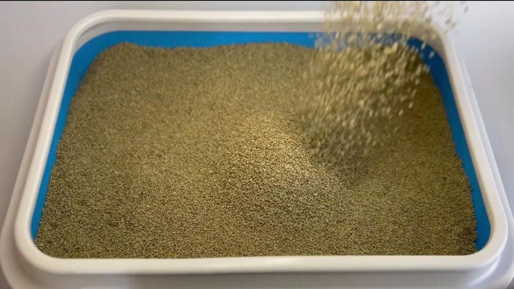 Наполнитель для кошачьего туалета комкующийся