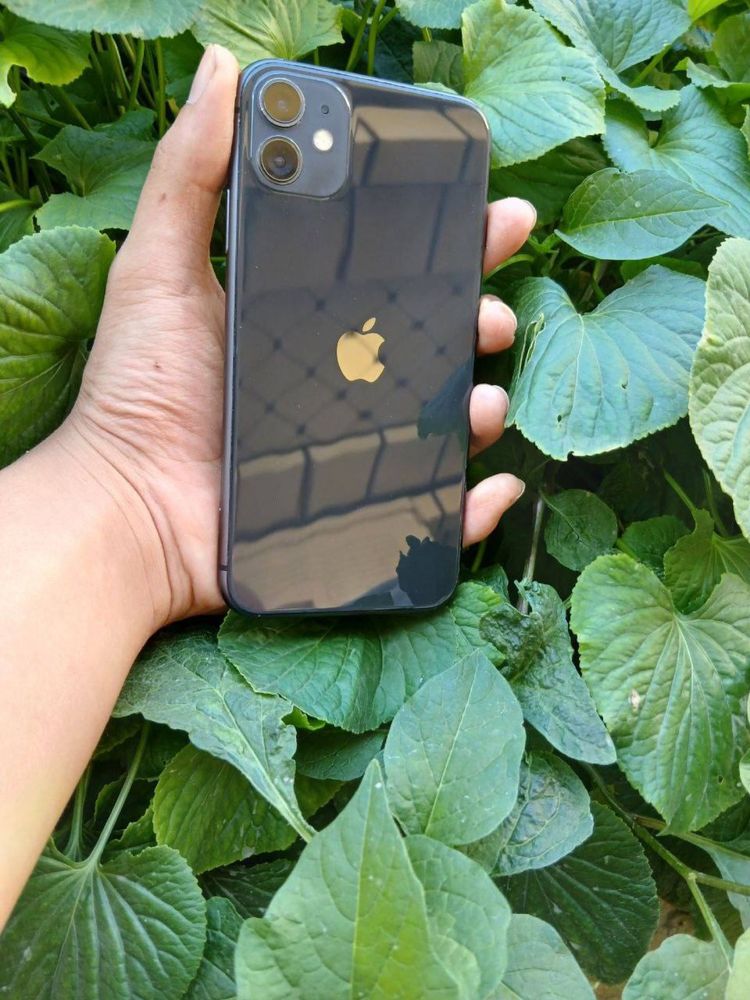 Iphone 11 128 talik Obmen S21 ultra