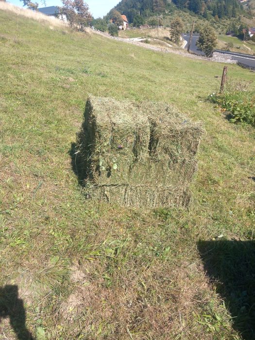 Vând baloți de fan și otavă din livadă de munte