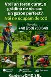 Defrișări, tuns gazon, amenajări grădini – Bihor + Reduceri