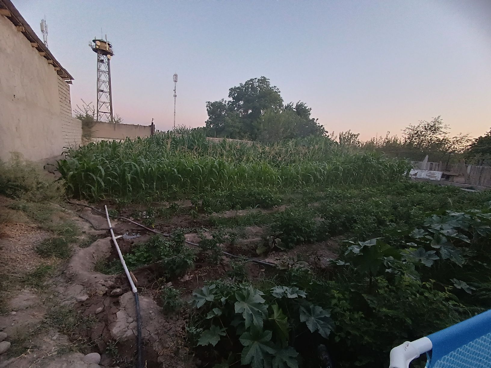 Uchastka 6 sotix