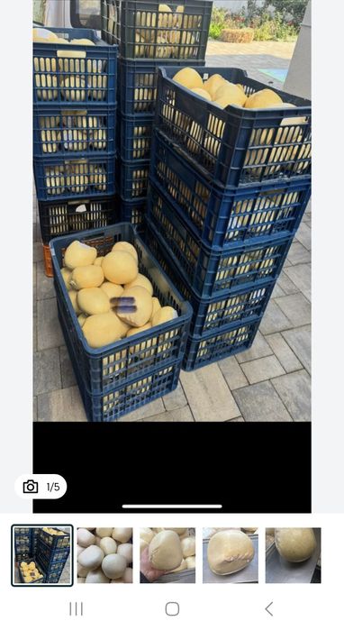 Vand Burduf cantități mari 37 lei kg angroo