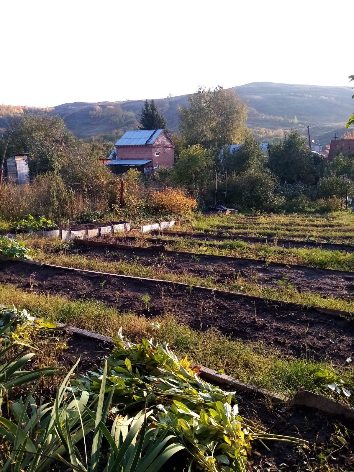 Продам дачу в черте города