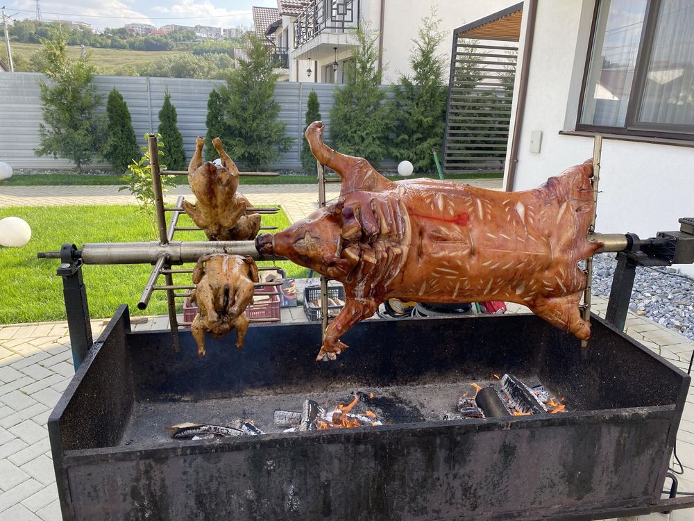Catering/ protap/rotisor/gustari/ciorbe/aperitive/salate/garnituti