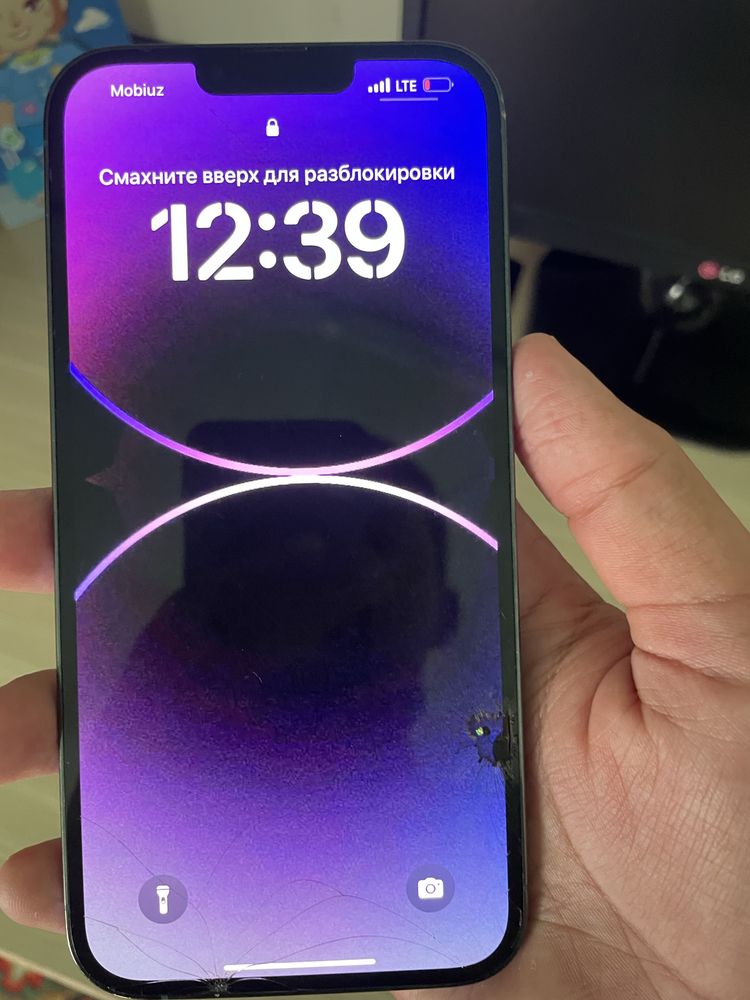 iPhone 13 Pro Max