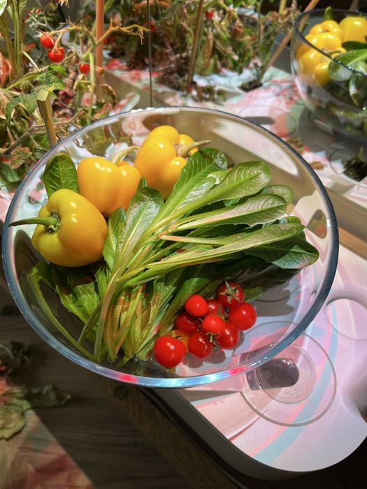 Seră Click and Grow