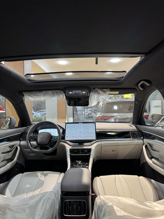 BYD Champion Plus Smart