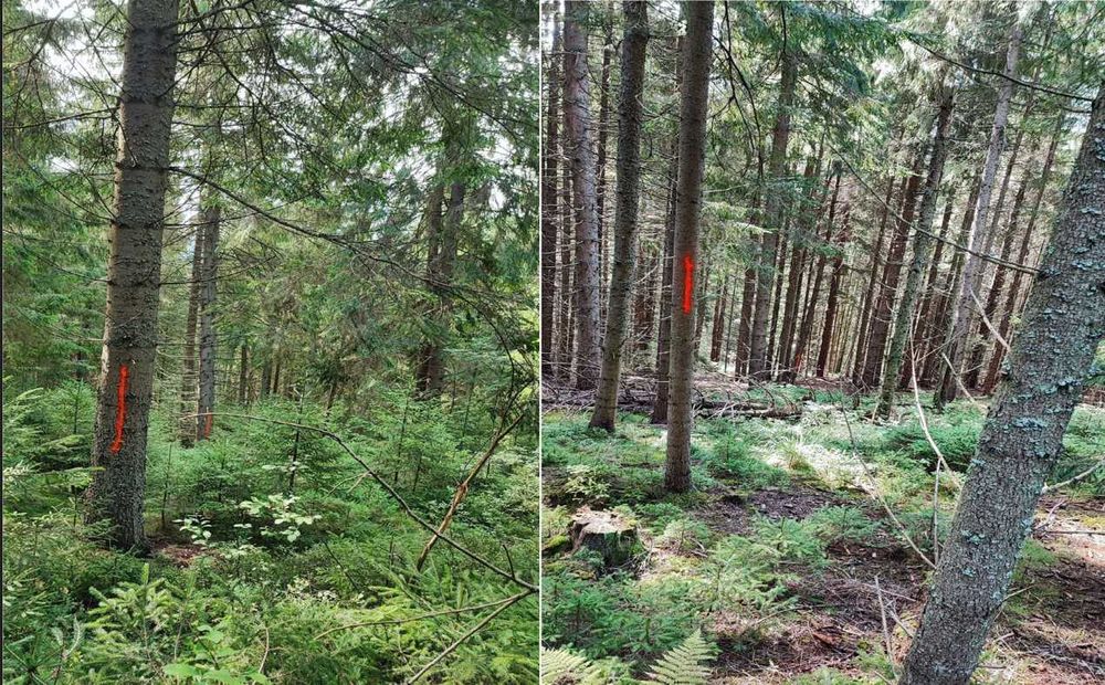 Vand Teren Balcesti/Belis cu deschidere la lacul Belis-Fantanele