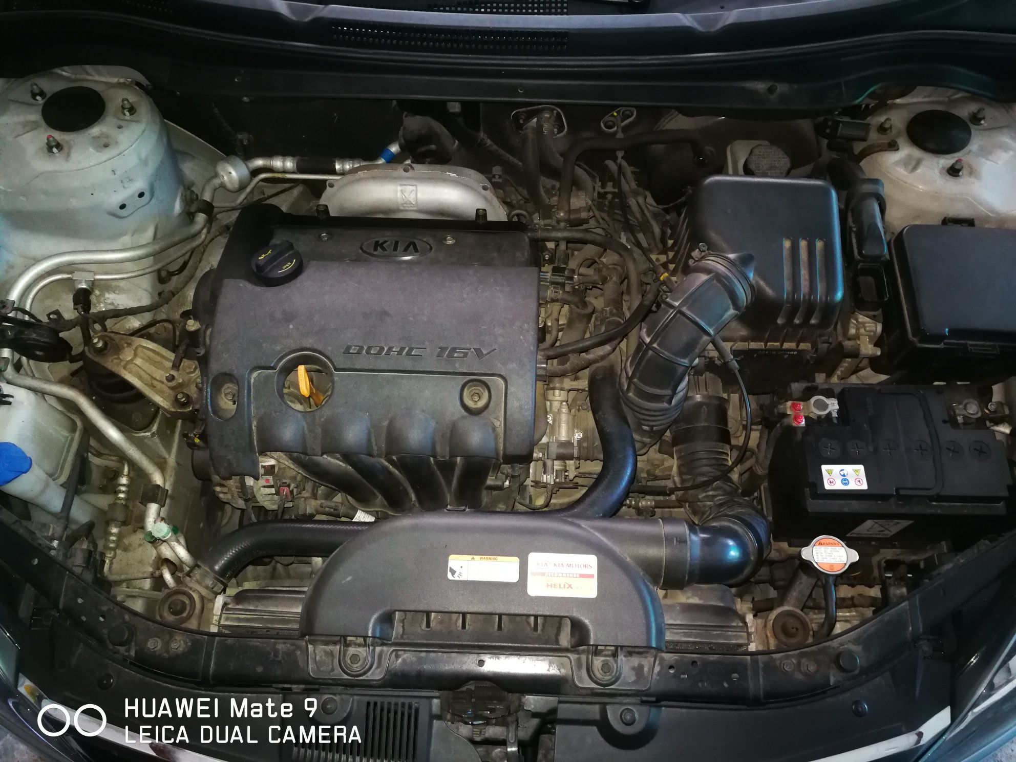 Kia ceed benzina