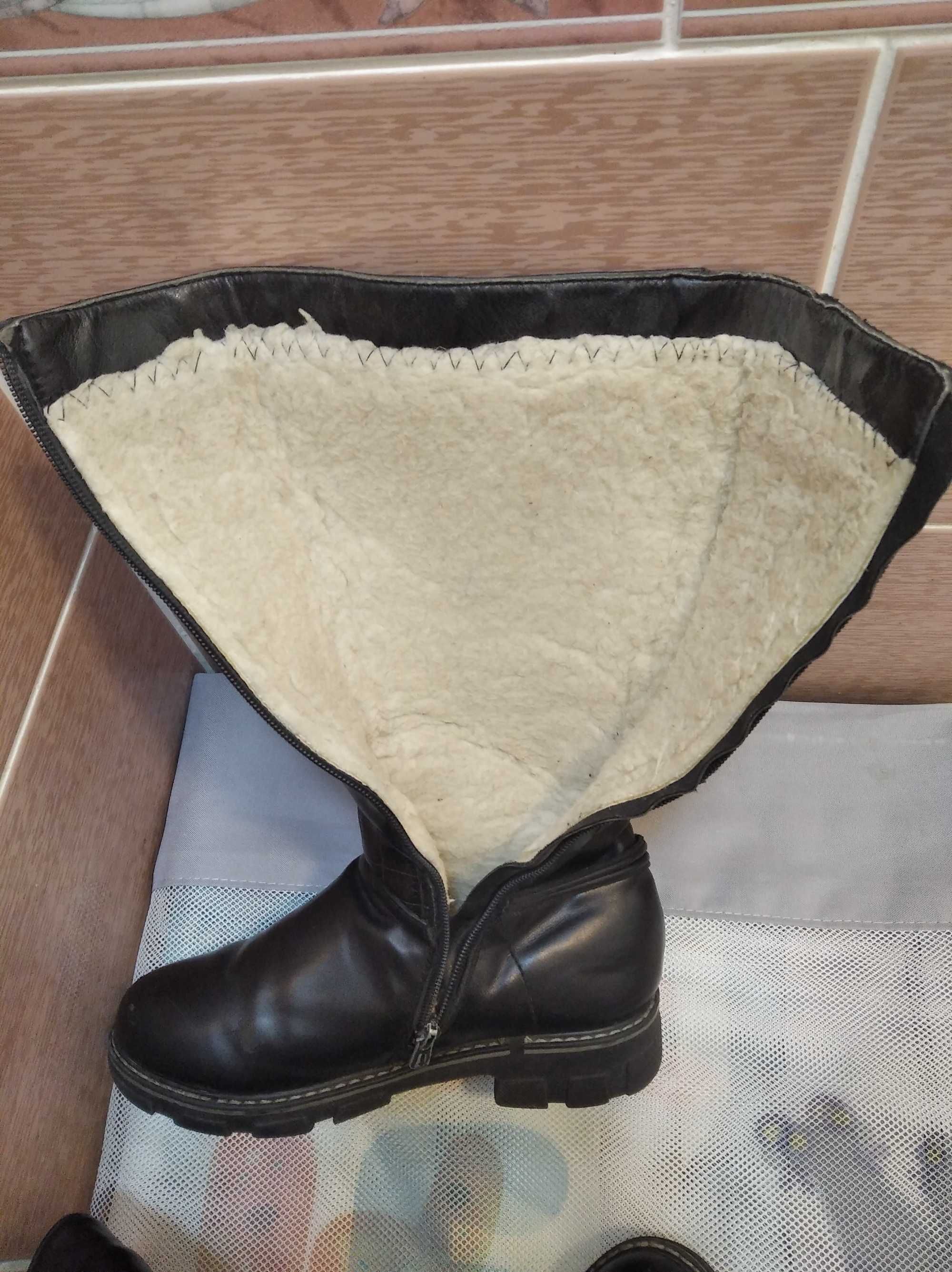 Женские сапоги (36).