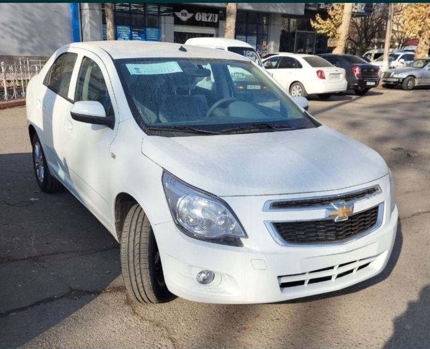 Cobilt Style MCM 2025 yil Bonus+ Natrus harjat ichida