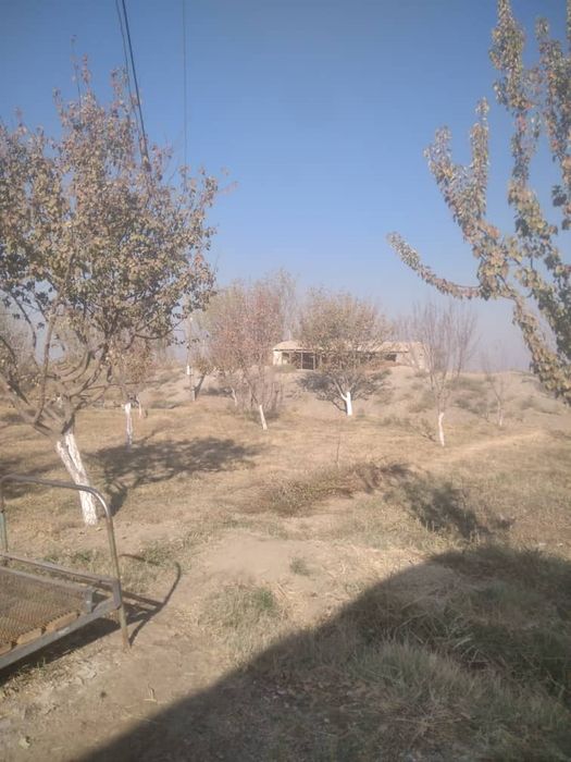 Yer maydoni sotiladi