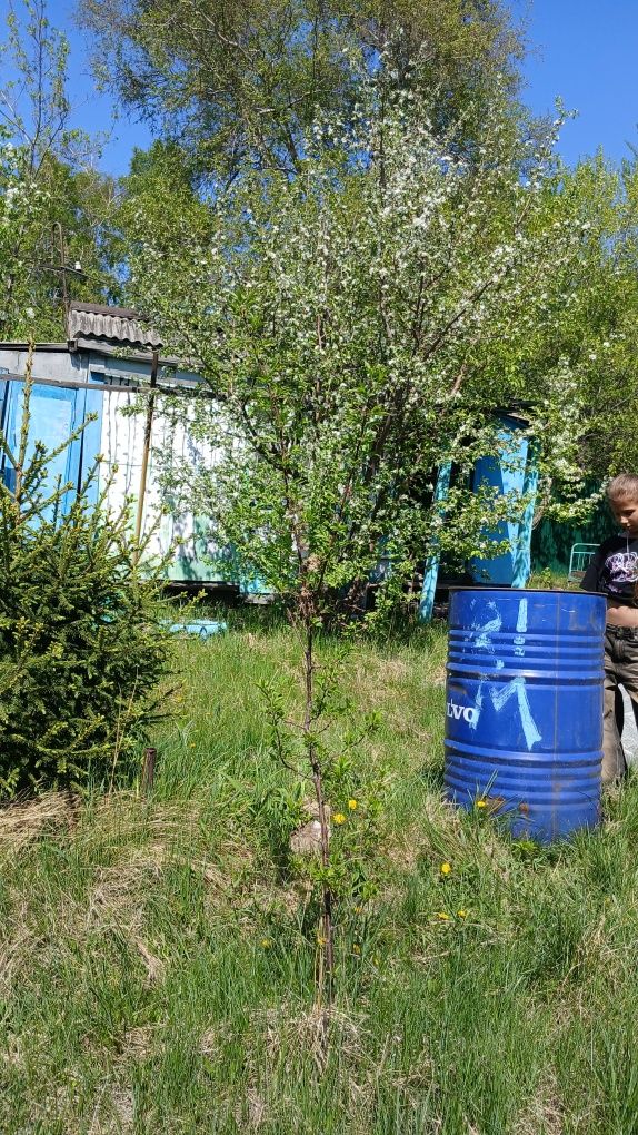 Дача на мирном продам