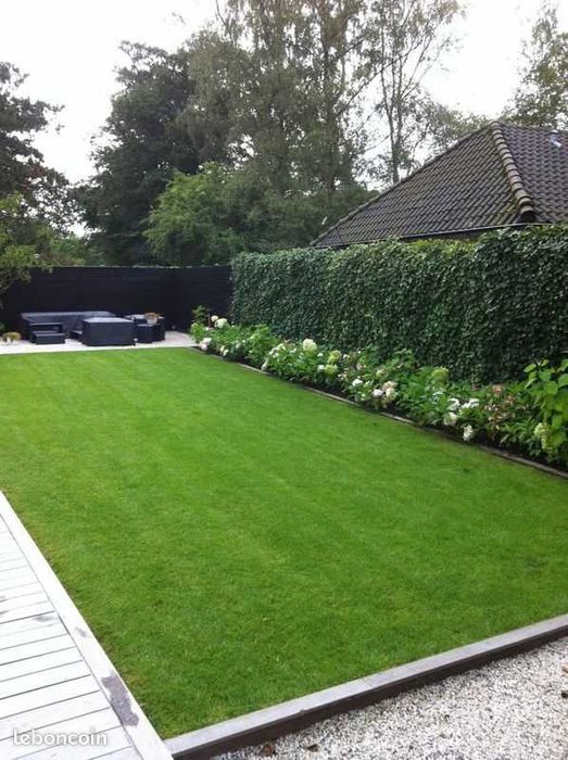 GAZON RULOU sport - Craiova