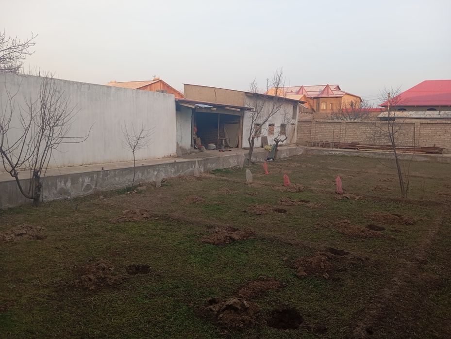 Тез Кунда сотилади