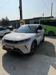 BYD Yuan Up 3 pozitsia bez dop 2024