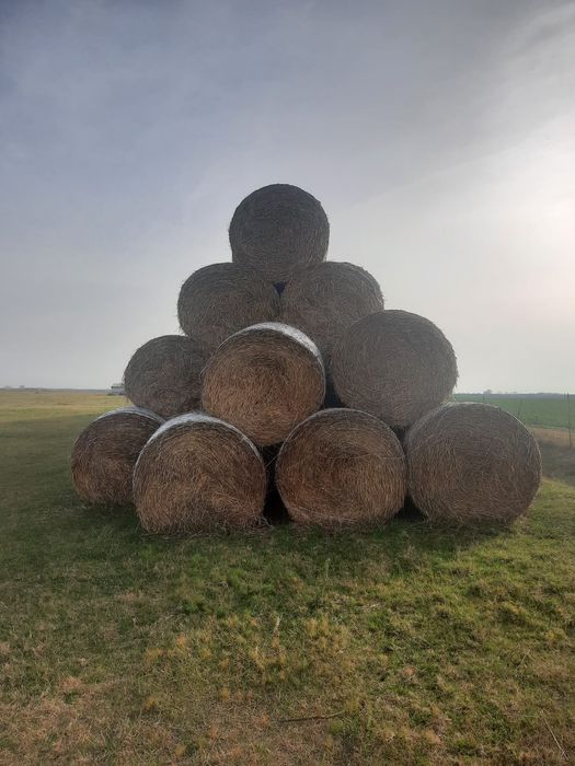 Baloți de paie de vânzare