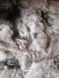 Продам овечью шерсть,чистая, перебранная, 800тг кг