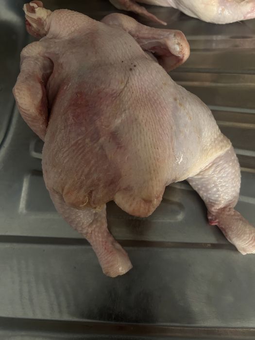 2500 теңгелік бролер тауығы бар