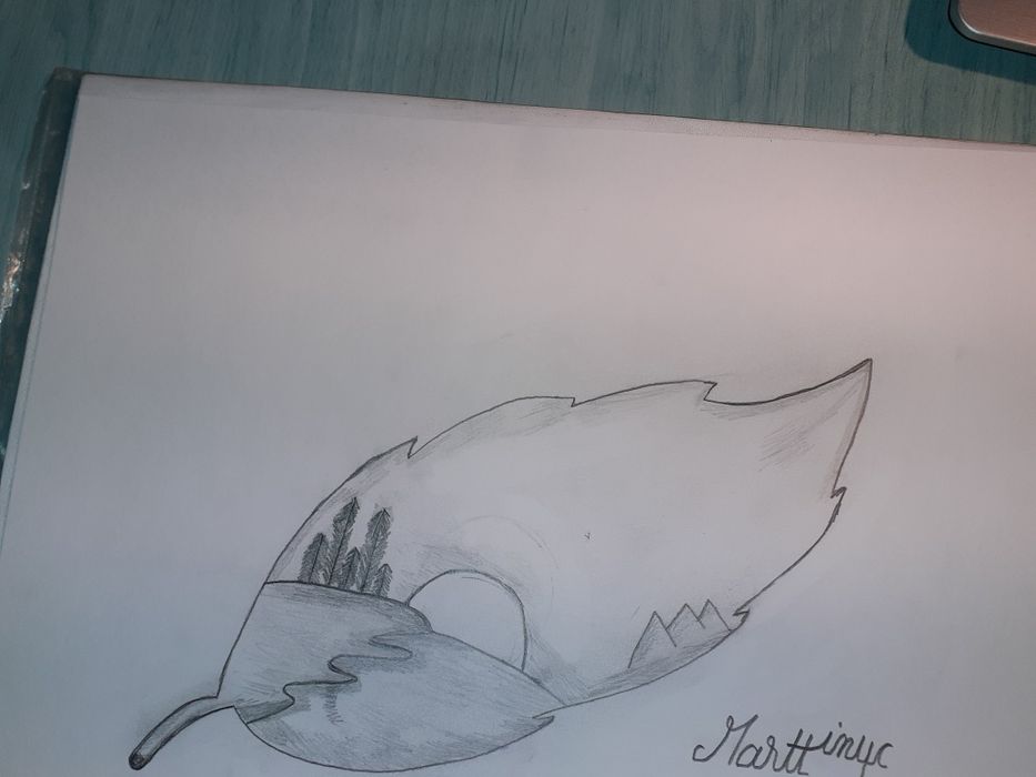 Desene făcute de mine
