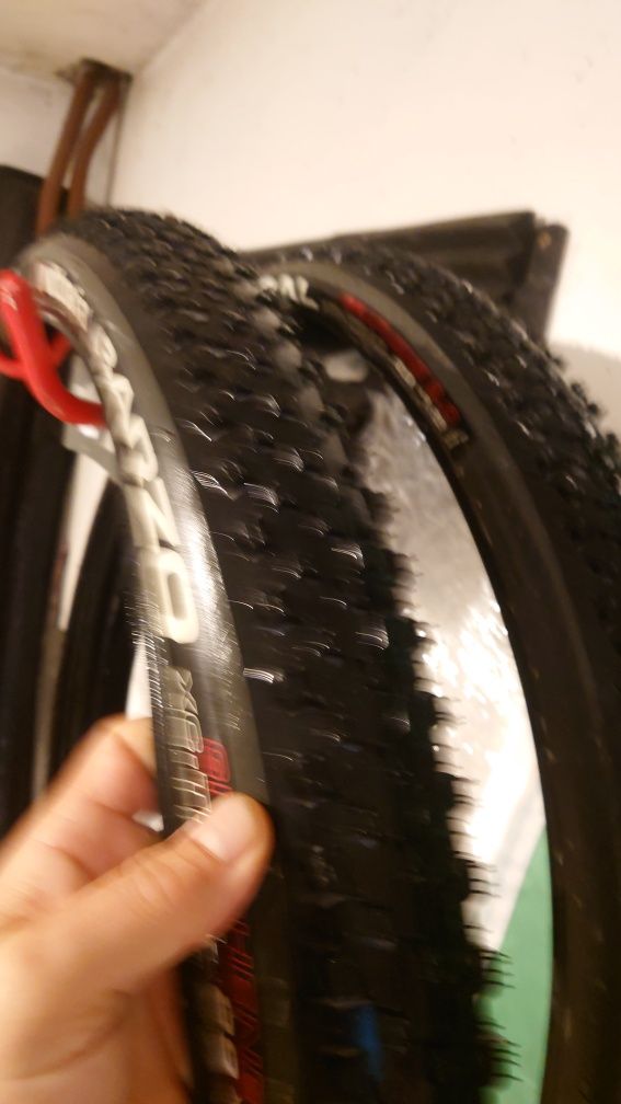 Vittoria Barzo 29x 2.35