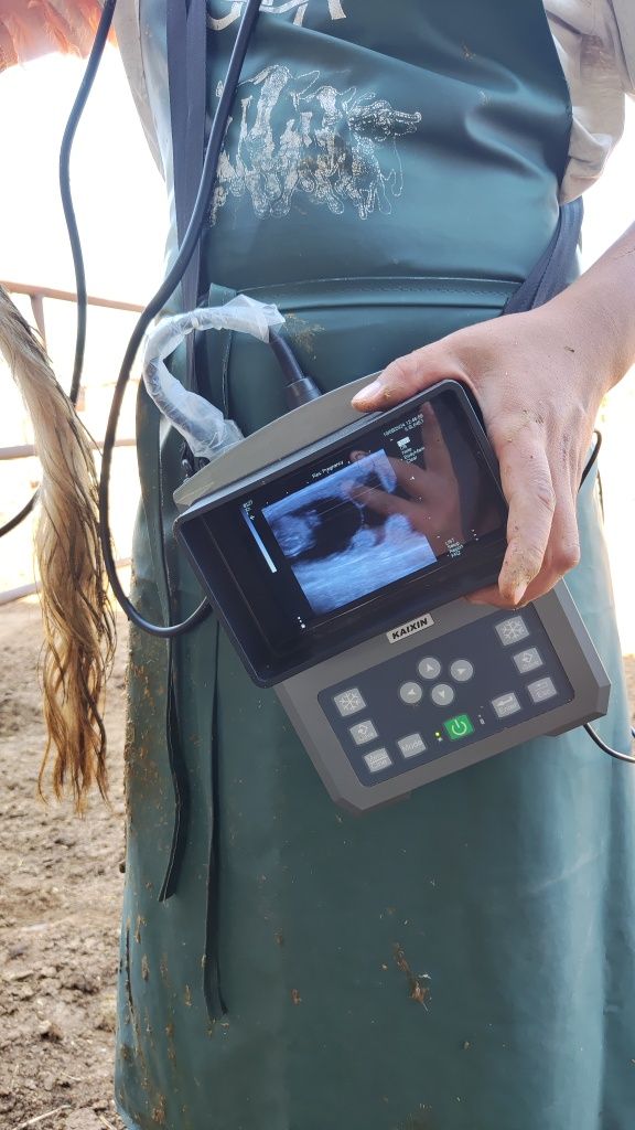 Veterinariya  Uzi xizmati Uzi xizmati