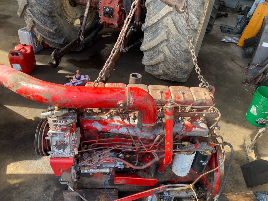 Vând mânză semigrea