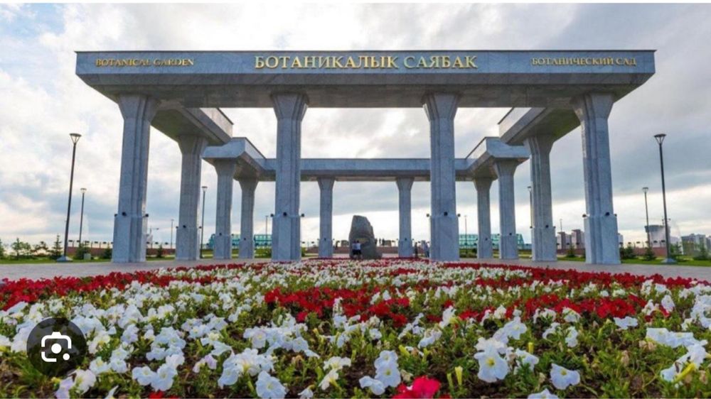 Выгул собак ботанический сад