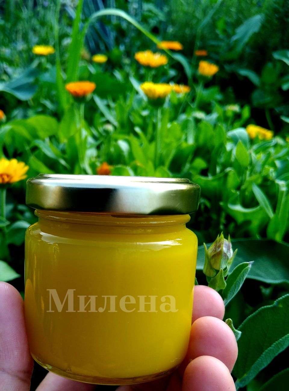 Домашен мехлем от невен и лавандула