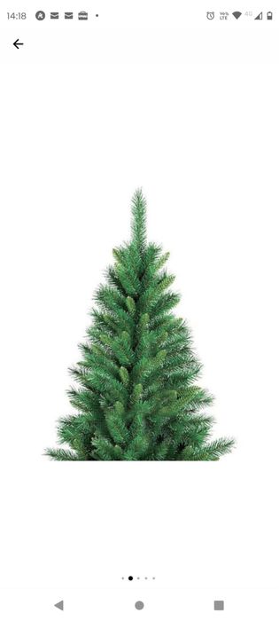 Vand brad de craciun