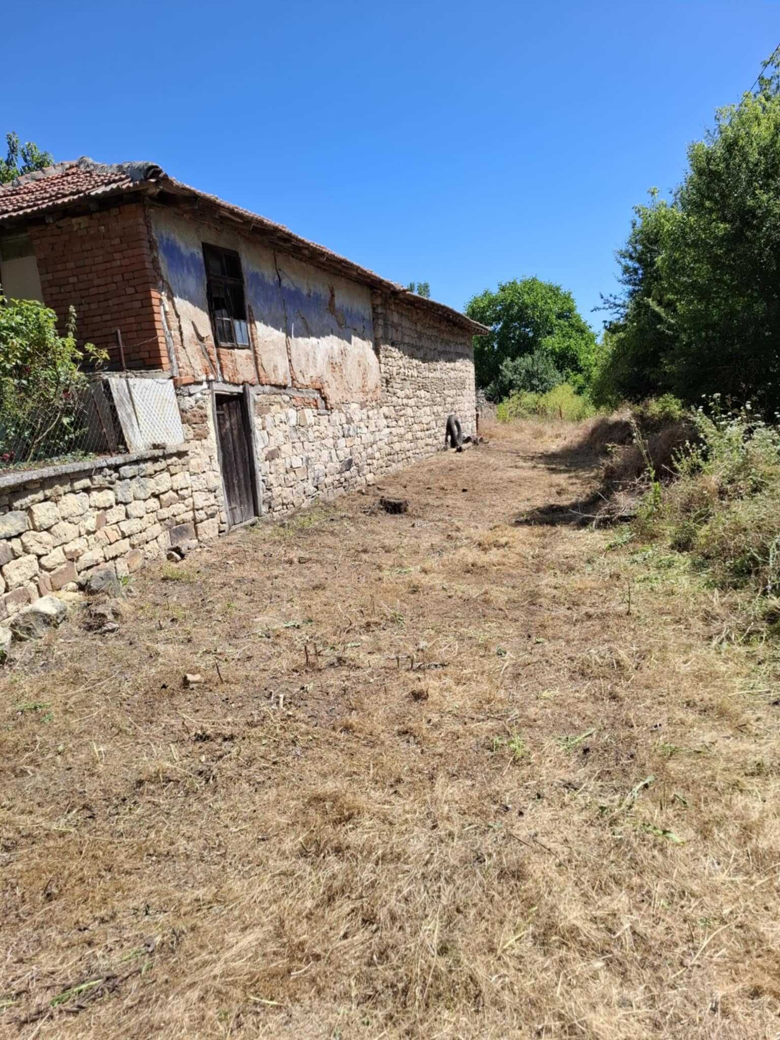 Косене на Трева, Подрязване на Храсти и Клони в гр. Бургас и Региона.