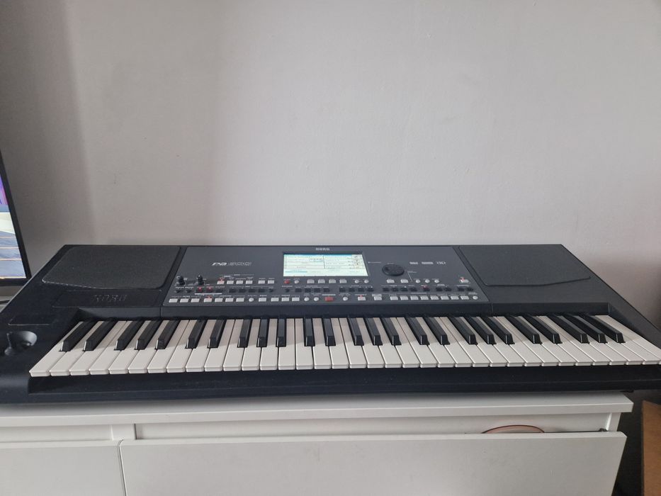 Orga korg pa 600