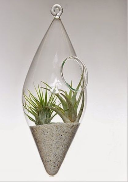 Decoratiune stica pentru plante aeriene