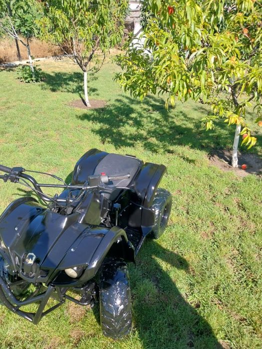 Atv copii 110 dnr
