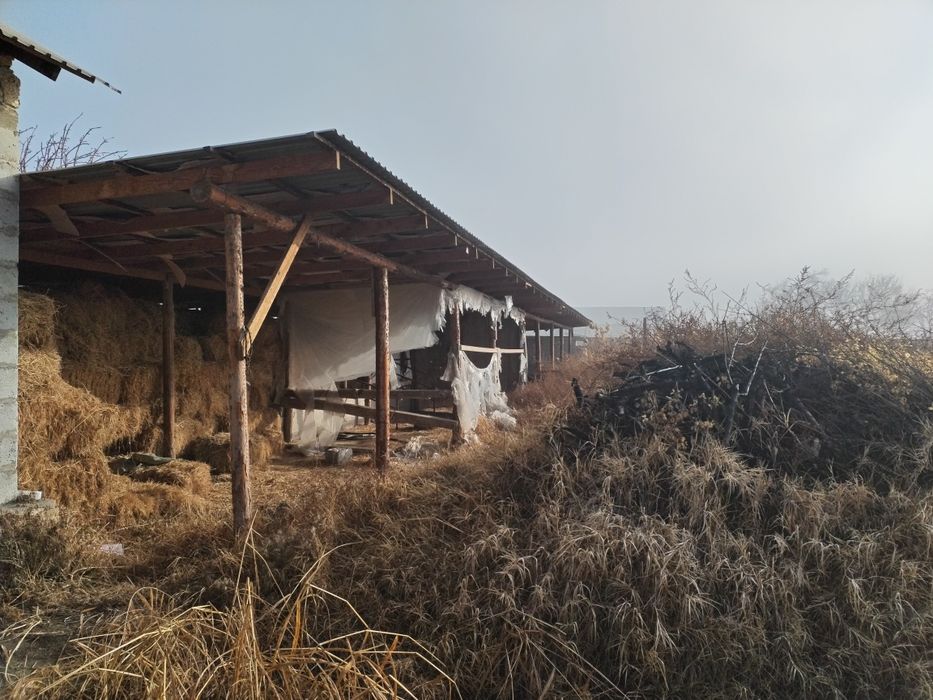 Участка сотилади 12 сотик