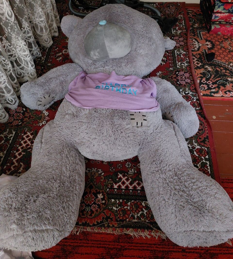 Teddiy ayiq xolati yani