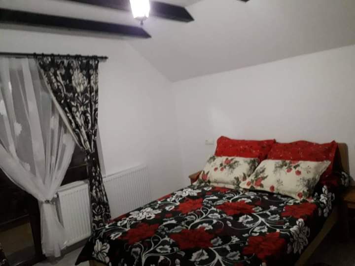 Cabana Elysa Băile Figa Libera de Revelion