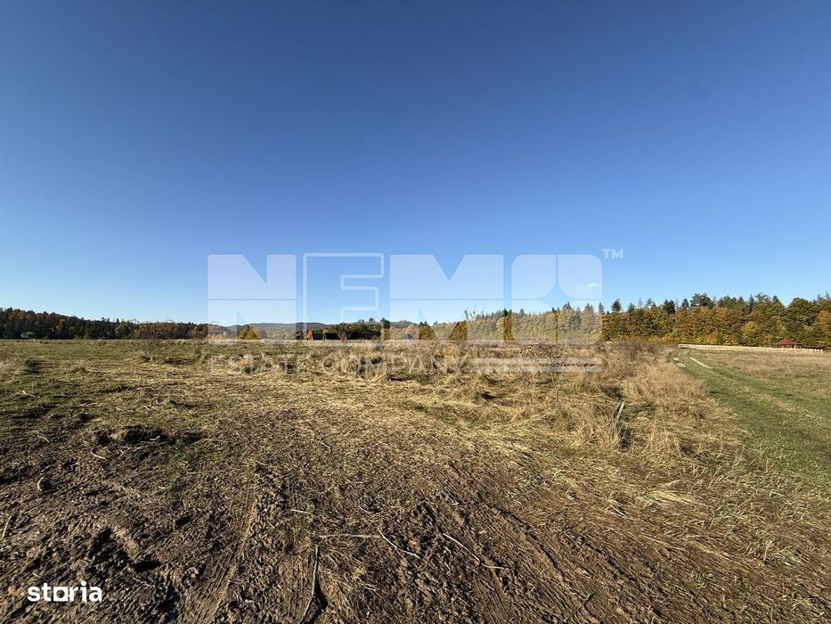 Teren intravilan | Horodnic de Sus – zona Tecioara | 2.900 mp