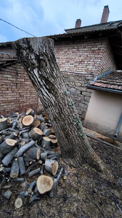 Орех дънер за мебел