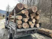 Lemn de foc FAG 3,5 cub