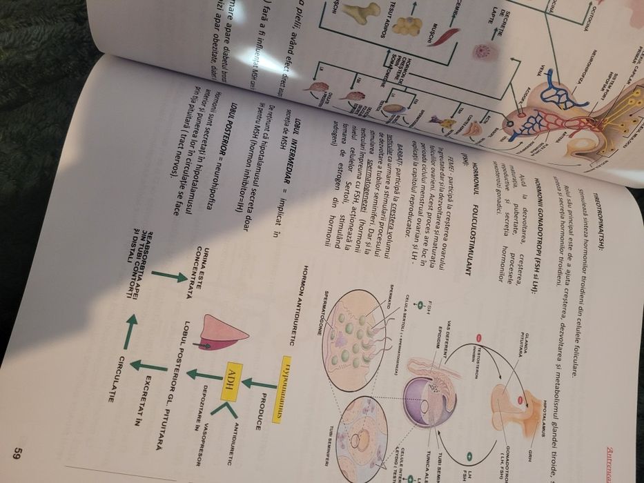 Carte Antreneaza-ti sinapsele Biologie pe înțelesul tuturor