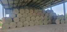 baloti de lucerna productia 2025