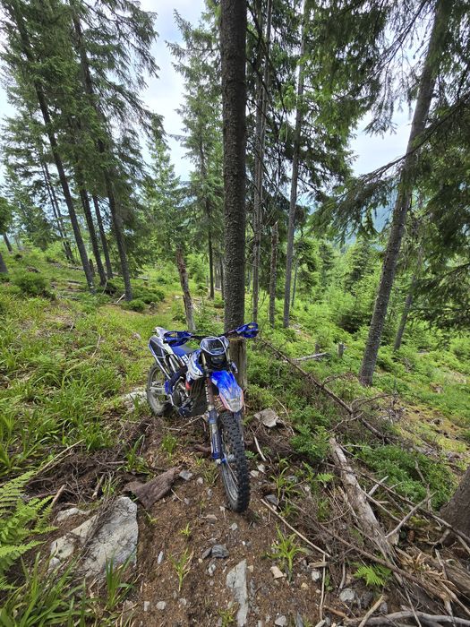 Yamaha Wr250f 2017