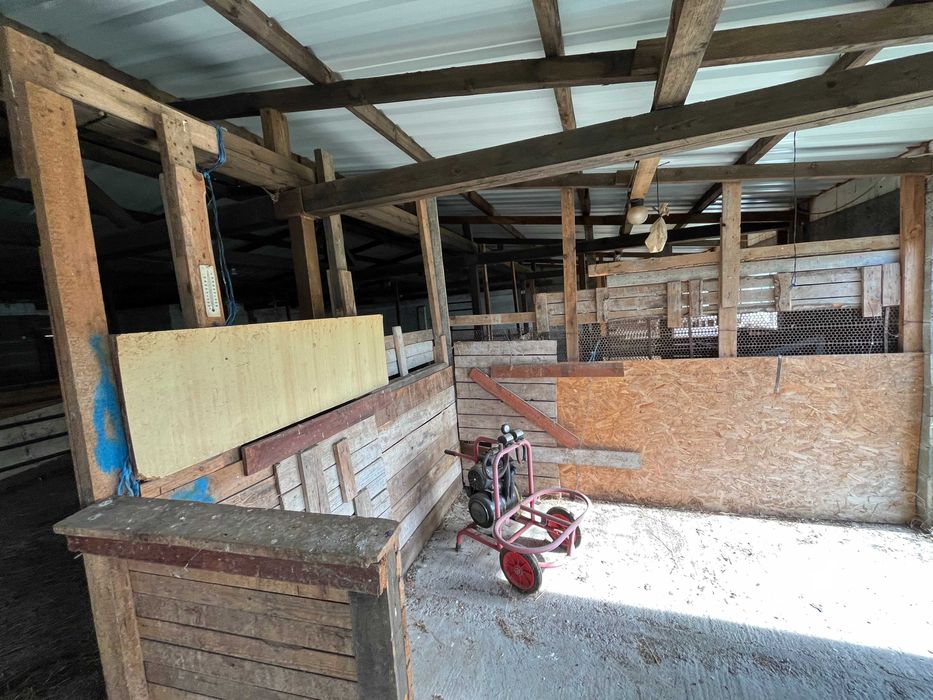 Продава се работеща ферма с мандра и сондаж – с. Черганово, Казанлък