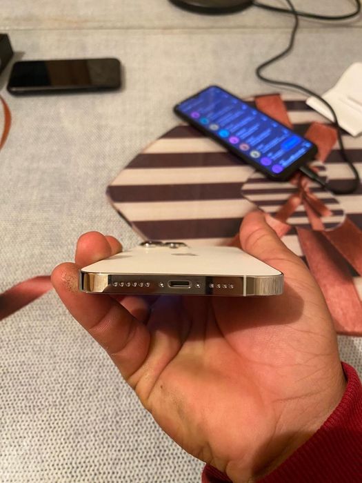 iPhone 13 pro max